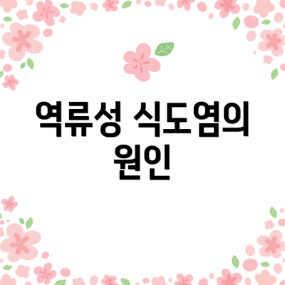 역류성 식도염의 원인