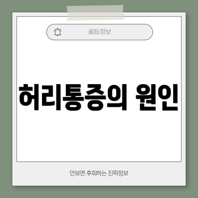 허리통증의 원인