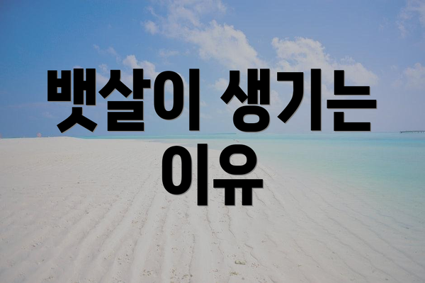 뱃살이 생기는 이유