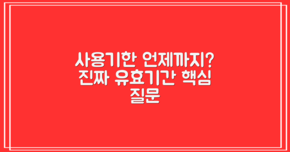 언제까지 사용할 수 있나요?